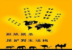 以汉为国号的国家