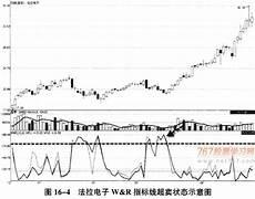 威廉分时指标