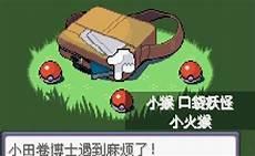 漆黑的魅影勇吉拉怎么进化成胡地