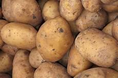 potato免费网络激活码