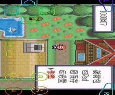 究极绿宝石小偷能偷什么
