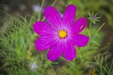 后湖花样年花好园交房